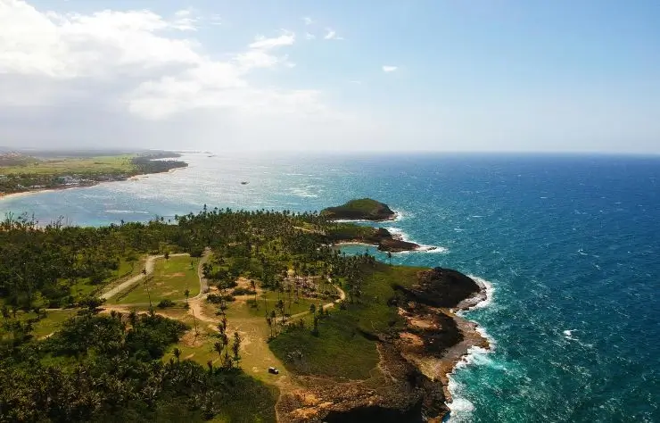 playa_republica_dominicana vegetación, palmeras y costa de la republica dominicana