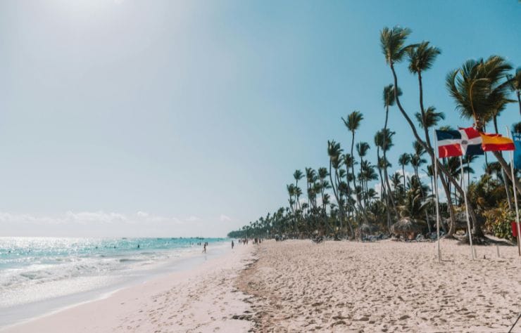 vista de la orilla de la playa con palmeras y varias banderas de paises.