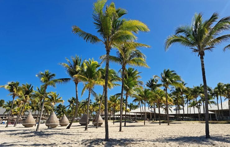 Playa de Varadero en Cuba con arena blanca, palmeras y sombrillas de playa bajo un cielo azul despejado.